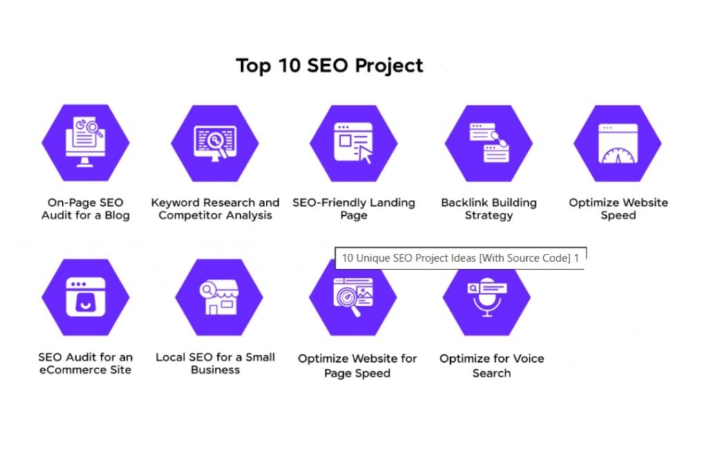 Top 10 SEO Project